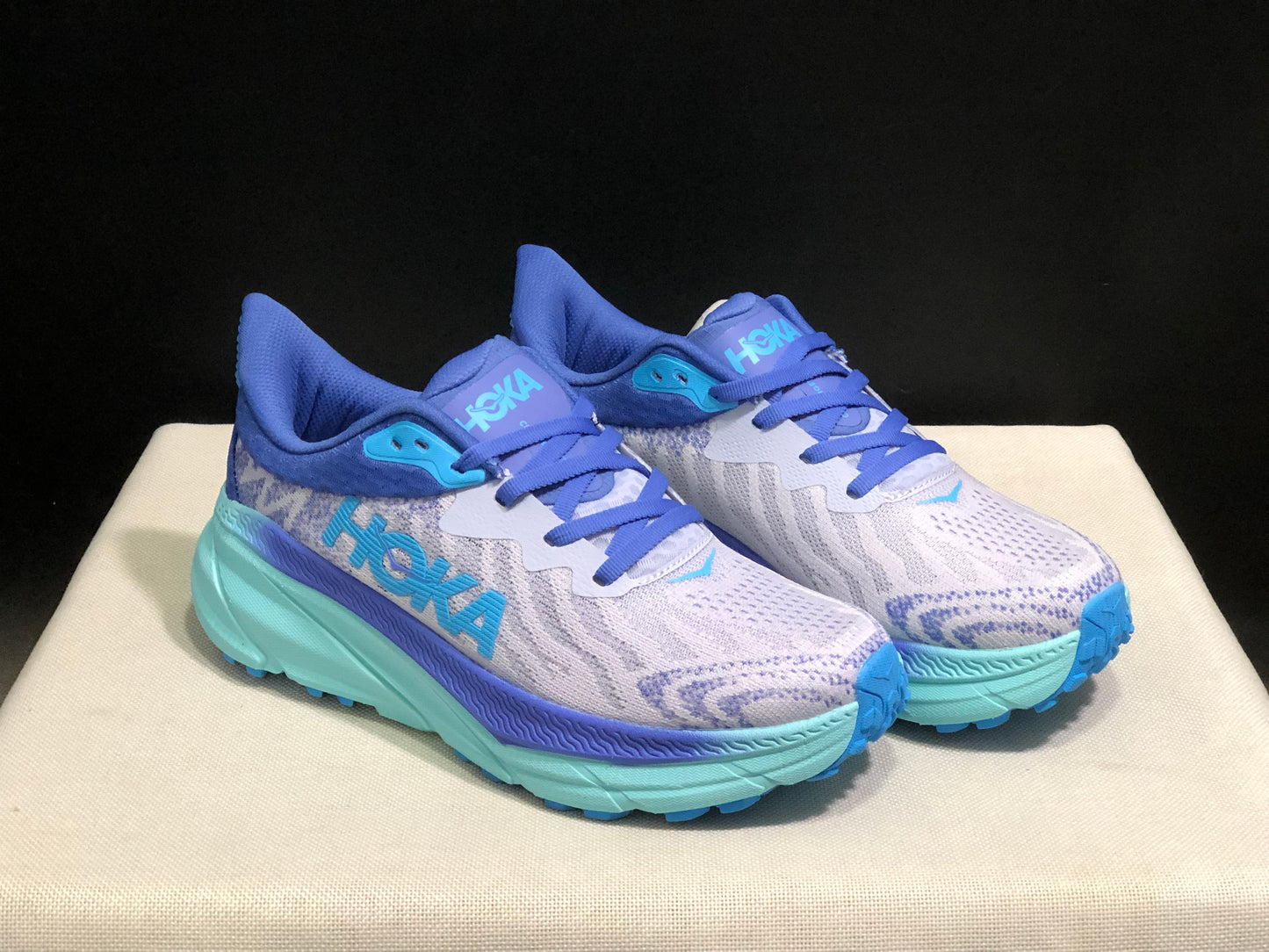 Hoka One One Challenger 7 Shock-absorbing Breathable Running Shoes Sneakers Light Purple