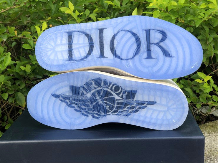 Nike Air Jordan 1 Retro High Neutral Grey Sneakers Dior Joint Edition