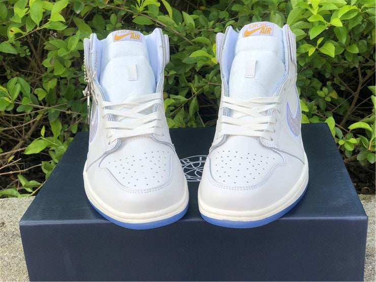 Nike Air Jordan 1 Retro High Neutral Grey Sneakers Dior Joint Edition