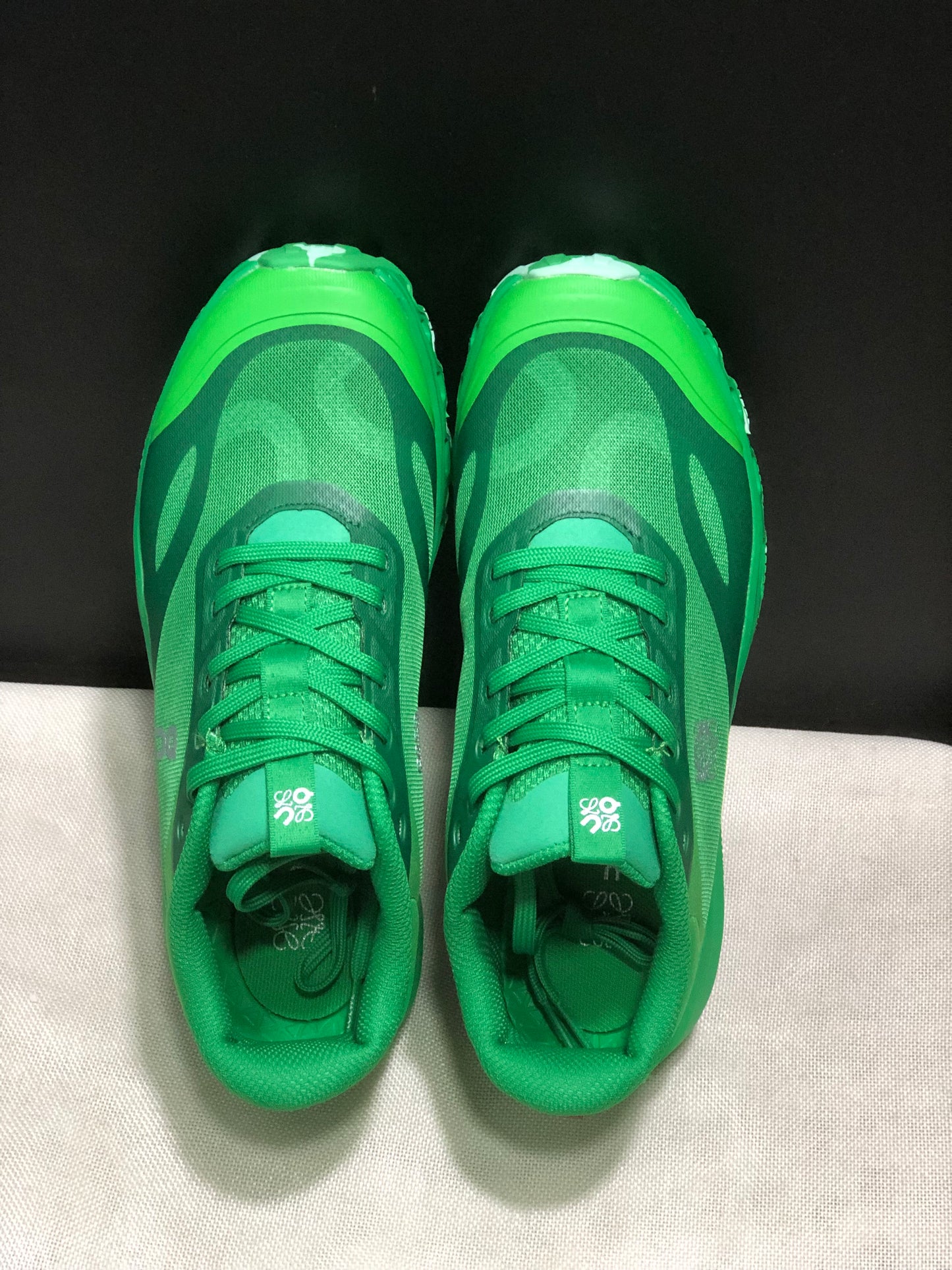 LOEWE x On Running Cloudventure 2.0 Running Shoes Co-Signed Edition Green